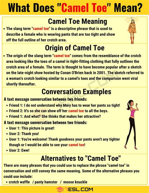 camel toe meaninh|CAMELTOE Definition & Meaning .